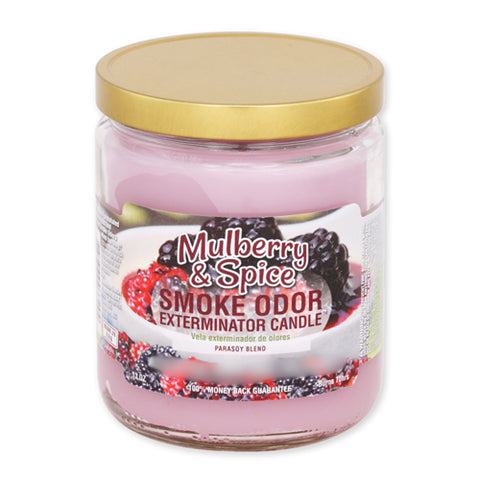Smoke Odor Exterminator Candle | Mulberry & Spice 13oz
