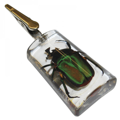 Bug Clip | Joint Holders