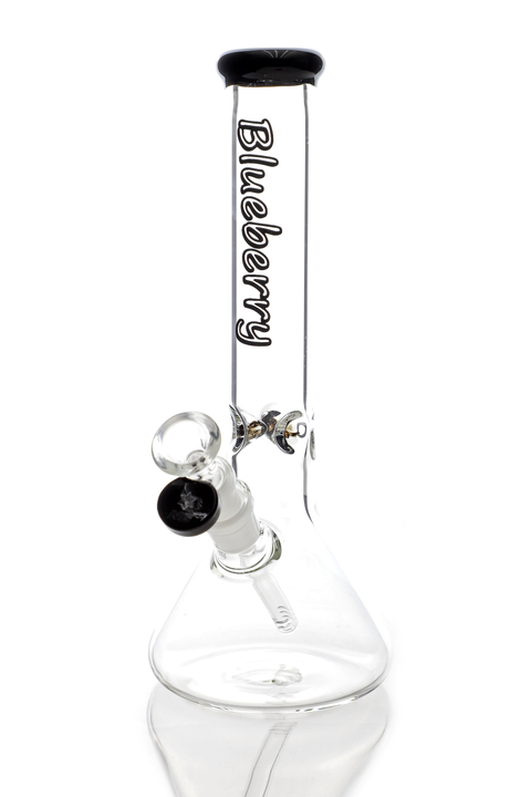 Blueberry | 11" Beaker